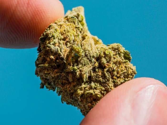 Google is banning apps that sell weed from the Play Store
