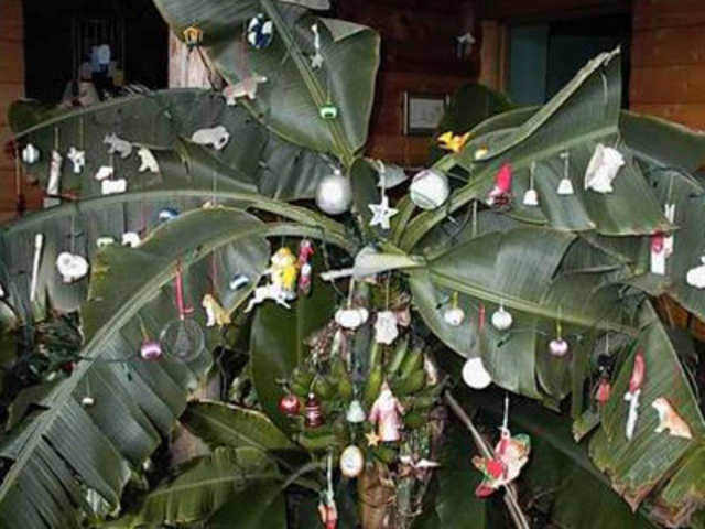 Banana Christmas Tree in India. Image: Business Insider