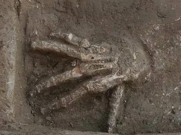 Tombs filled with severed hands suggest warriors in ancient Egypt mutilated their enemies to get war trophies