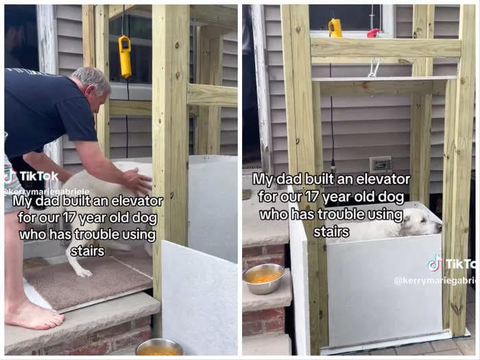 A dad built an elevator for his 17-year-old dog who struggles to use the stairs, and everyone on TikTok is crying