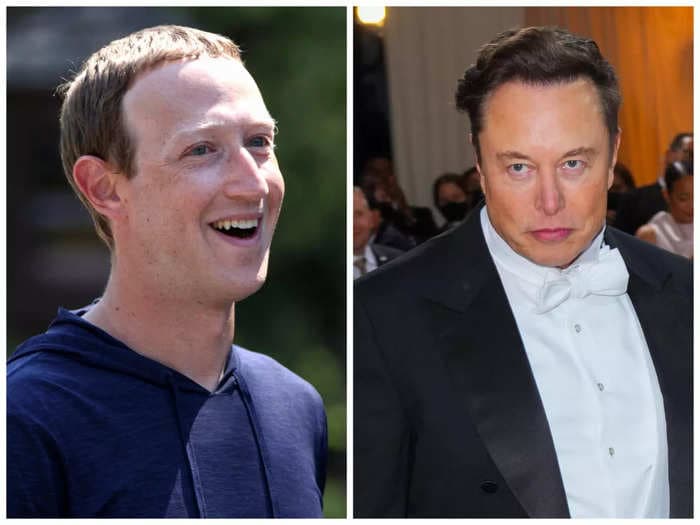 Elon Musk biographer Walter Isaacson says cage fight with Mark Zuckerberg won't happen: 'It's a metaphor'
