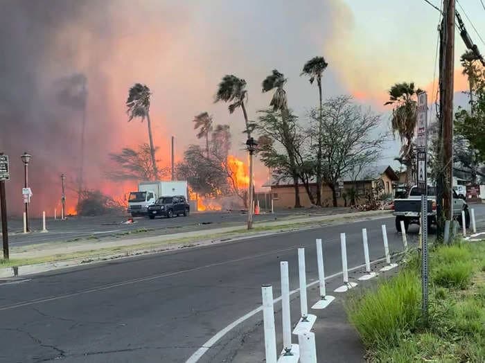 A local from one of the areas hardest hit by Maui wildfires says there are 'dead bodies floating on the seawall'