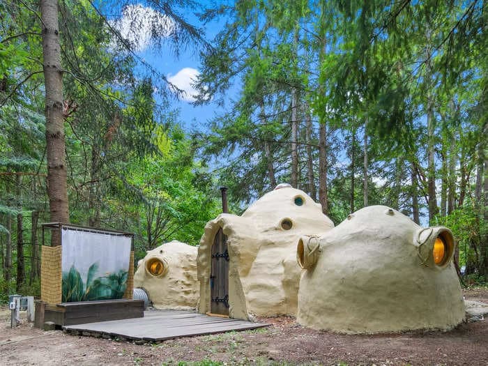 A 'whimsical' domed home next to Washington's Camano Island State Park is on sale for $295,000. Take a look.