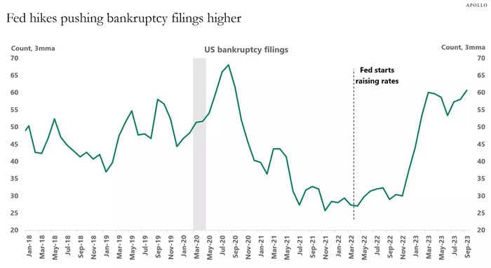 Bankruptcies are surging - and Fed rate hikes are to blame, economist says