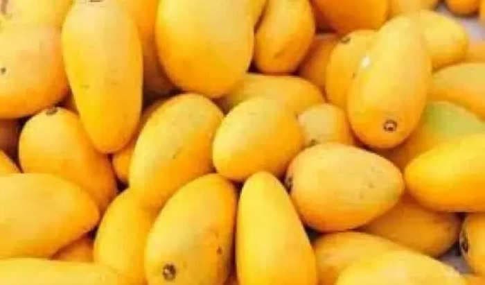 Mango exports up 19% to $47.98 million during April-August 2023 - US top destination