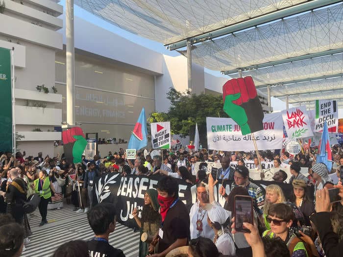 Climate activists join the pro-Palestinian cause during a rare protest in Dubai