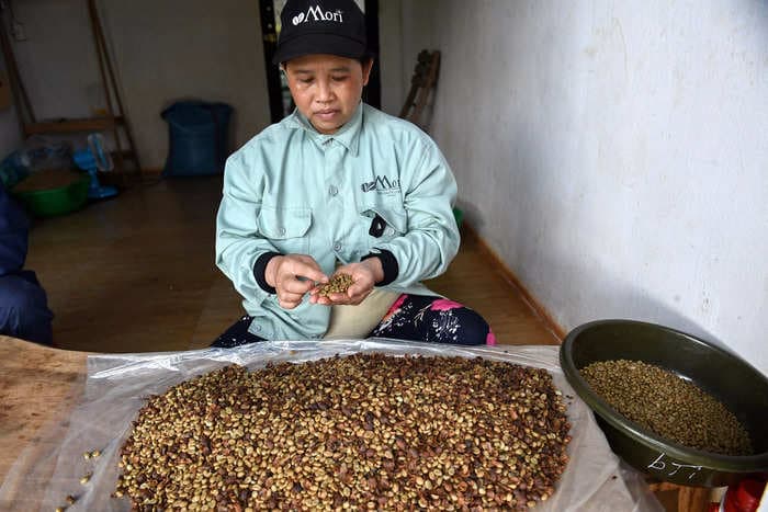 Vietnam's coffee bean production is hit by drought, could lead to rise in coffee prices globally