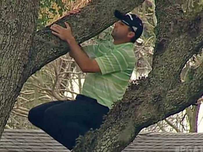 Sergio Garcia Climbed A Tree And Hit The Craziest Golf Shot Of The Year