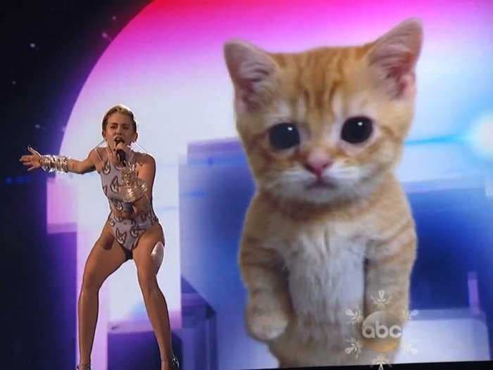 Miley Cyrus Performed In Front Of A Crying Cat At The AMAs