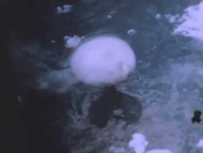 Haunting Raw Video Shows Final Preparation Of Atomic Bomb And The Explosion At Nagasaki