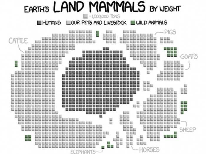 This Chart Shows How Utterly Humans Dominate Earth's Land Mammals
