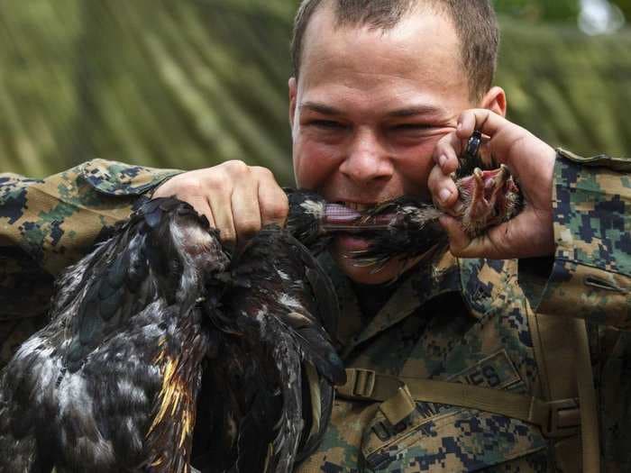 Here's A US Marine Killing A Chicken With His Teeth