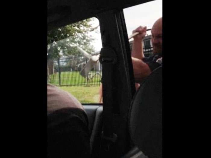 Shocking Secret Video Shows Police Breaking A Car Window And Tasing A Passenger