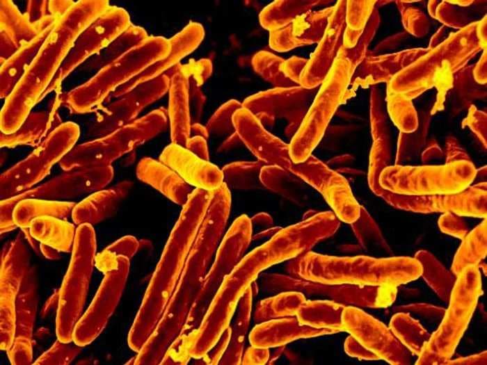 Ingenious' Antibiotic Discovery 'Challenges Long-Held Scientific Beliefs