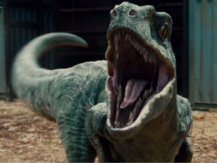 The Velociraptors in the 'Jurassic Park' movies are nothing like their real-life counterparts