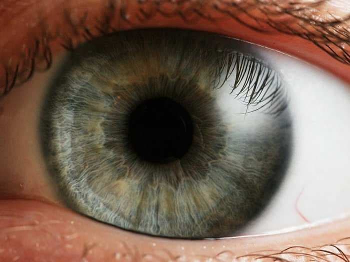Amazing animation shows exactly what happens in the eye when someone goes blind
