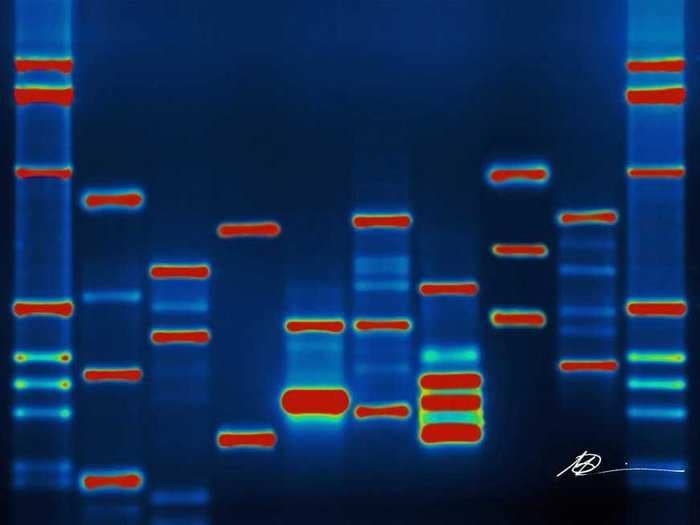 Genetic testing is taking medicine to an all new extreme