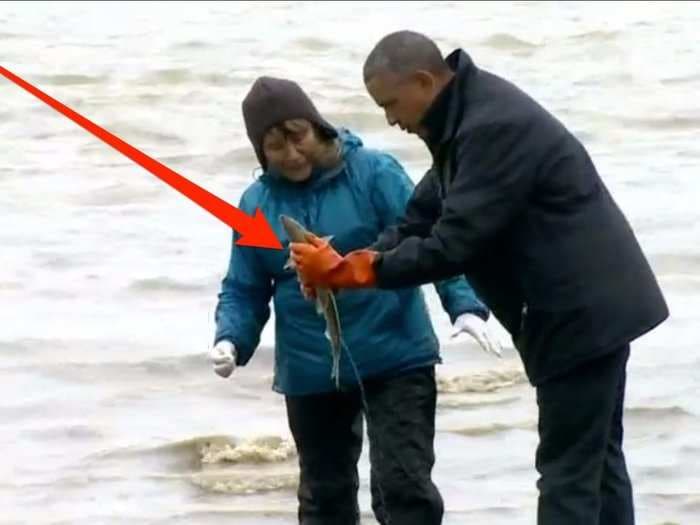 A salmon spawned on Obama's shoes during his trip to Alaska