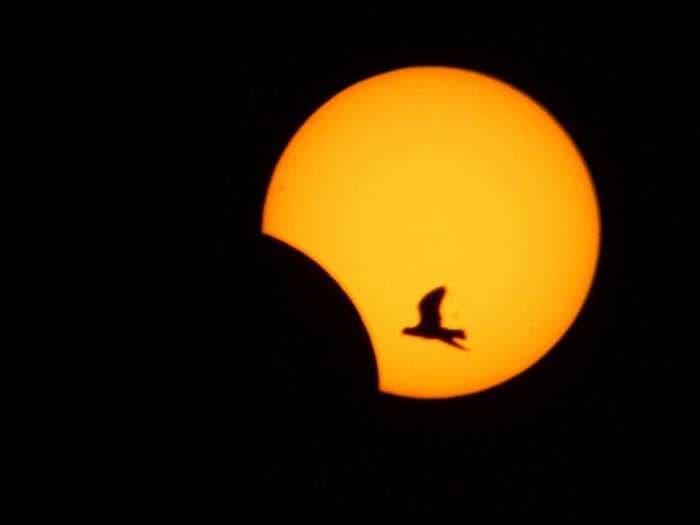 The last solar eclipse of the year is this weekend - here's how to watch