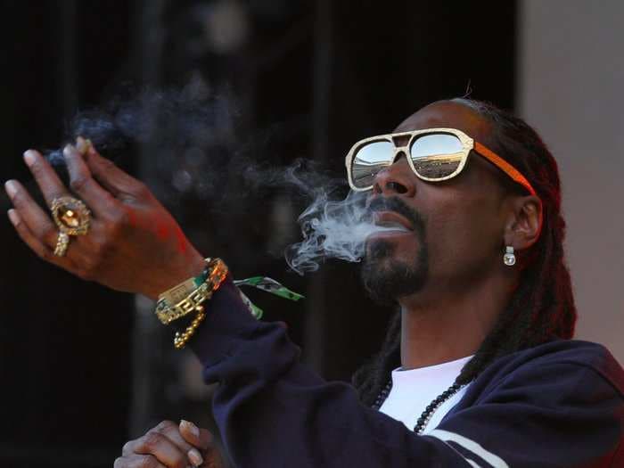  Snoop Dogg is launching the 'encyclopedia for cannabis' 