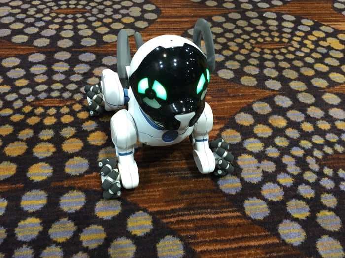 This robot dog costs $199 and chases around a Bluetooth ball that it can actually fetch