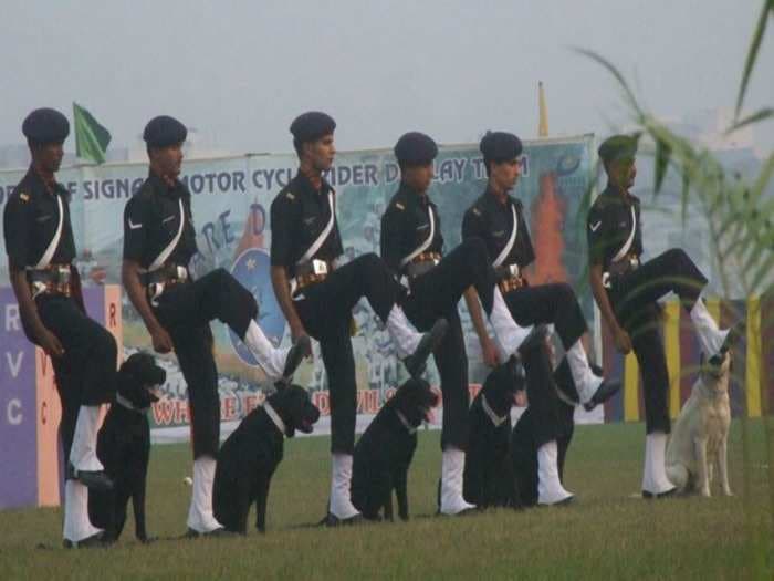 This video of the canine squad practicing for the Republic Day Parade will put a smile on your face!
