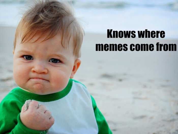 Here's where this 'success kid' pic and other Internet memes originally came from