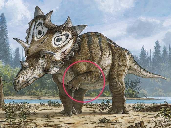 Scientists discovered something heartbreaking about this newly-discovered dinosaur