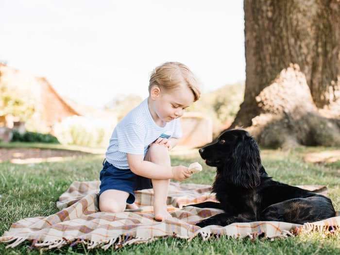 See Prince George's adorable new 3rd birthday photos