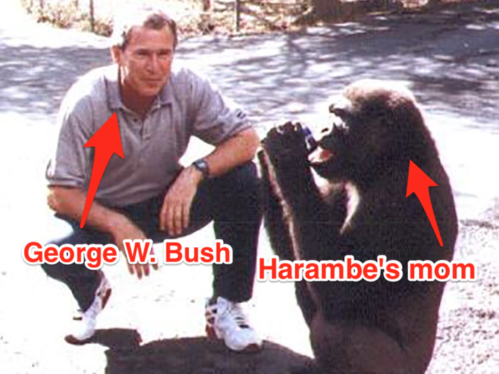 Photo of George W. Bush with Harambe's mom gives life to a bizarre conspiracy theory