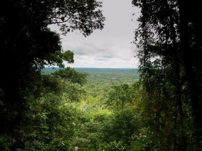Ecuador drills the first barrel of oil in a pristine corner of the Amazon rainforest