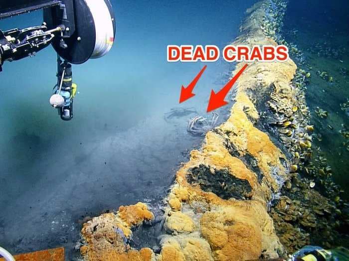 Scientists discovered an underwater lake of death called the 'Jacuzzi of Despair'