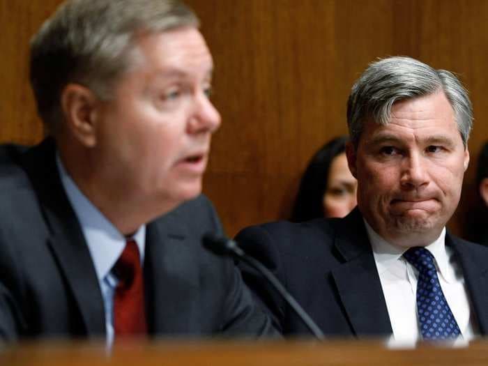 Democratic senator on GOP colleague Lindsey Graham in Trump era: He's been 'incredibly politically brave'