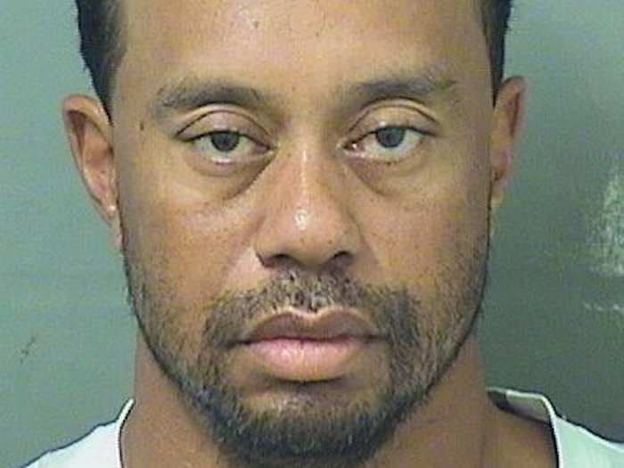 Here are the biggest details in the police reports from Tiger Woods' arrest