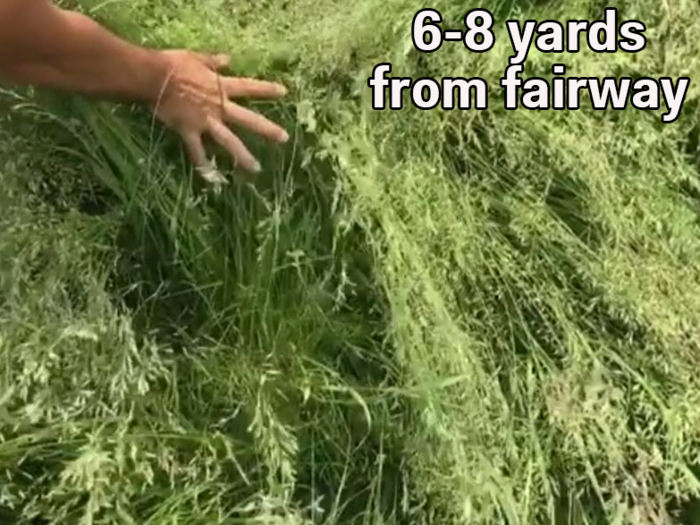 PGA Tour golfer's crazy video shows that the rough at this year's US Open is going to be a nightmare
