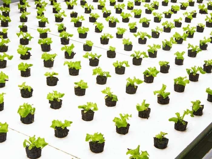 A Google-backed warehouse farm just raised $20 million to build in cities across the US