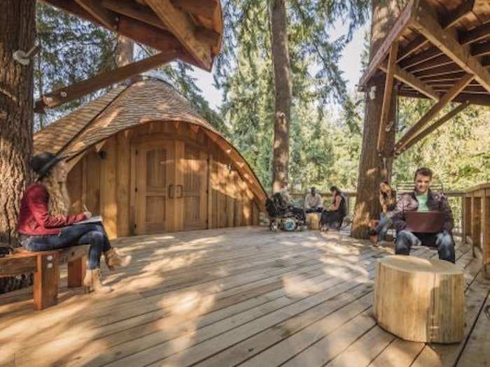 Microsoft built tree houses in the woods for its employees - here's a look inside