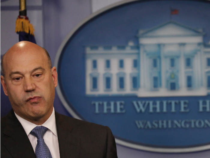 Gary Cohn reportedly said he used only 20% of his brain capacity working for Trump
