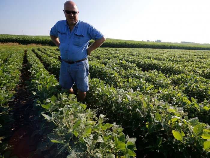 Soybeans slip following report China has halted its US orders