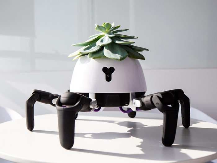 This little robot moves in and out of the sun to care for a plant that lives on its back