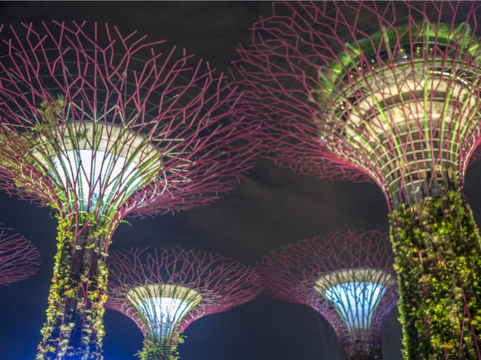 I visited the futuristic park filled with towering 'supertrees' featured in 'Crazy Rich Asians' and it looks like something straight out of science-fiction