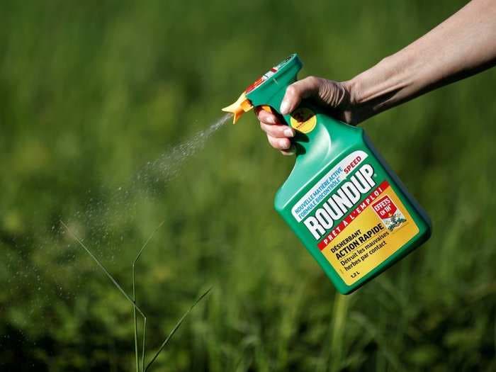 A judge has slashed the amount Monsanto has to pay in a lawsuit over a common weed-killer chemical's cancer risk