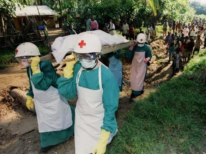 How Ebola went from killing 11,000 people in one year to being on the verge of a cure