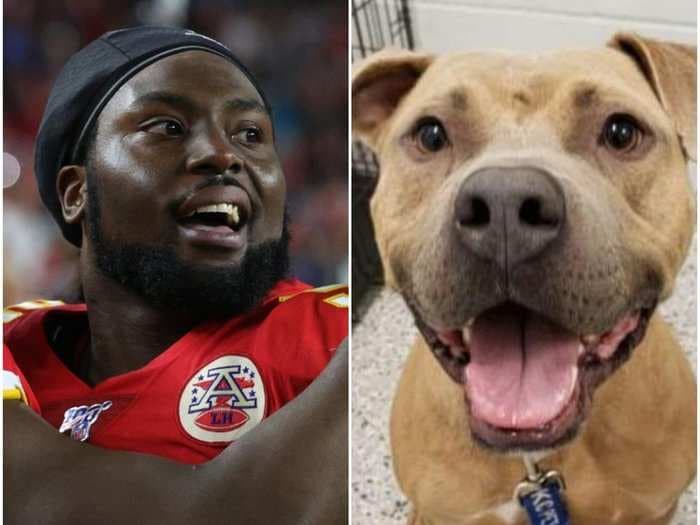 Kansas City Chiefs' Derrick Nnadi paid adoption fees for more than 100 dogs after winning the Super Bowl