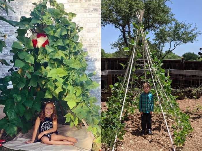 Families are building bean tents using just a few materials, and they're a whimsical addition to any backyard