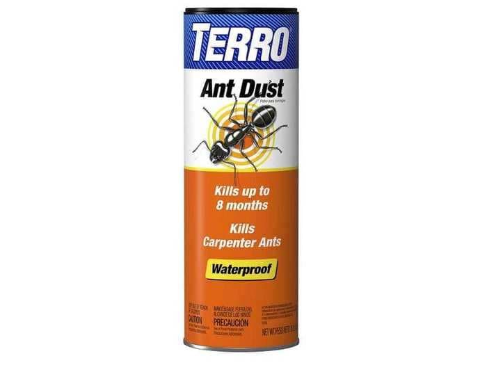 The best ant traps, killers, and repellents