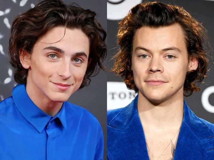 Timothee Chalamet did an impression of Harry Styles on 'SNL' and fans are saying 'the world has come full circle'