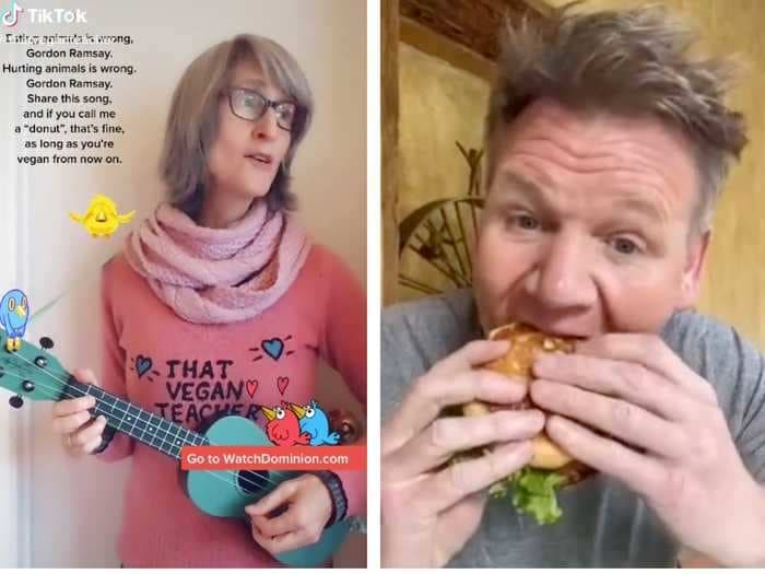 A controversial vegan TikToker roasted Gordon Ramsay for eating meat, and he responded by shoving a hamburger in his mouth