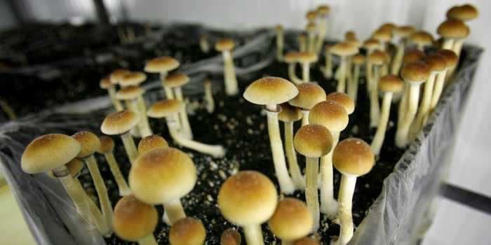 The first-ever psychedelics ETF will launch next week, backed by a Canadian fund manager