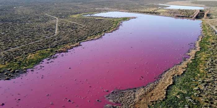 Photos show an Argentinian lagoon turning pink after an apparent chemical leak
